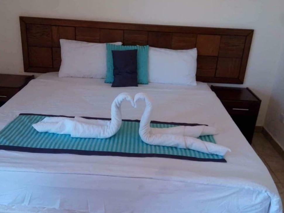 Almarsa Village Resort Aqaba Room photo
